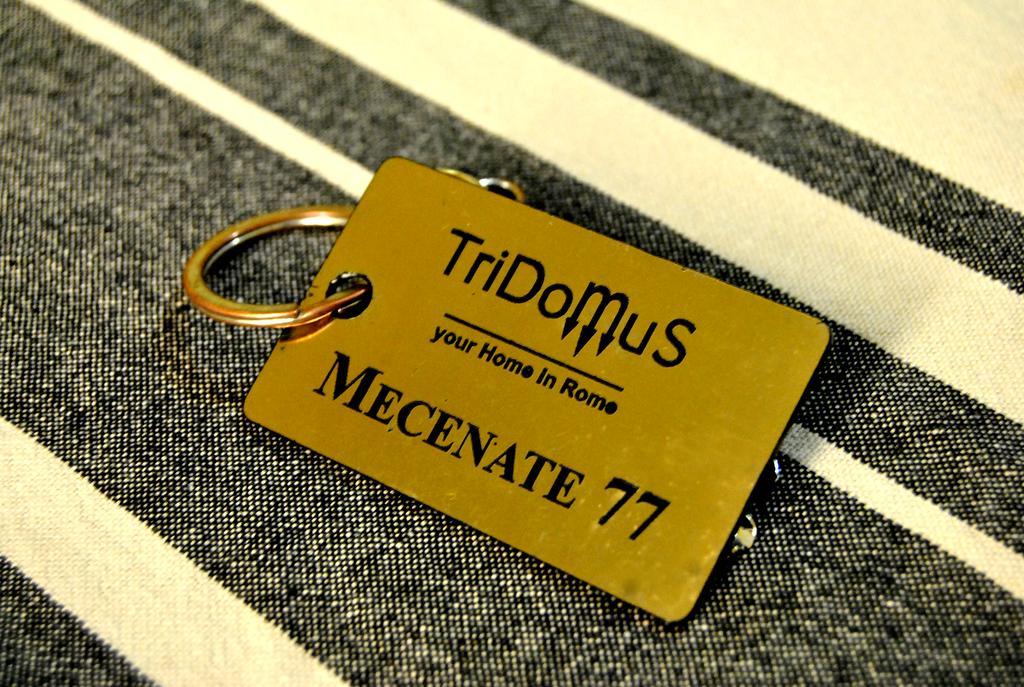 Tridomus Apartment - Mecenate 77 Rom Exteriör bild
